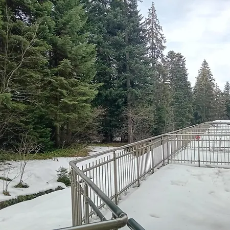 B&k In Flora * Borovets