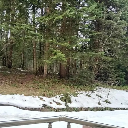 B&k In Flora Aparthotel Borovets