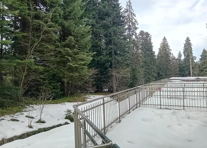 B&k In Flora 3* Borovets