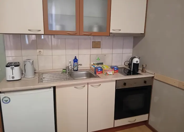 B&k In Flora 3* Borovets